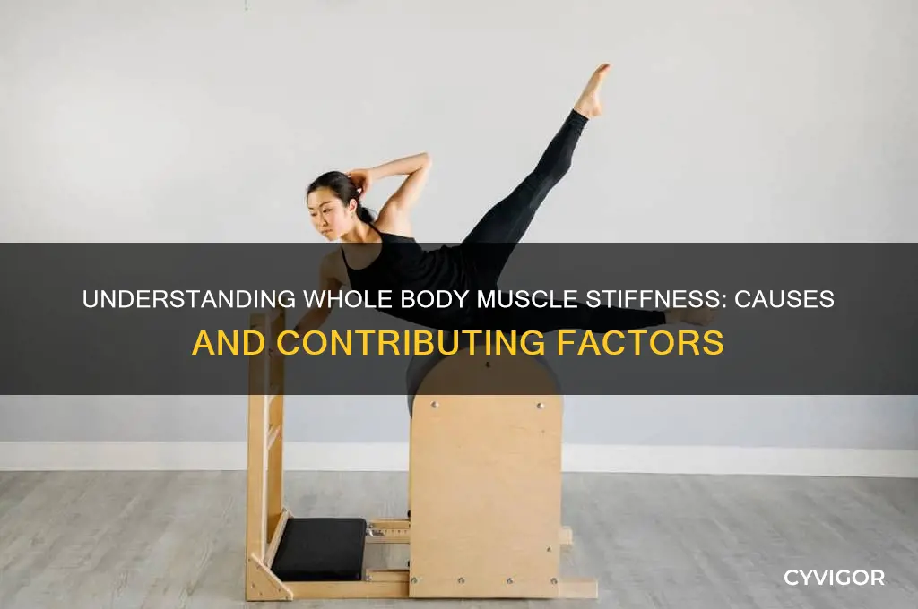 what causes whole body muscle stiffness