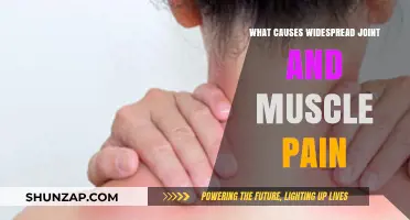 Unraveling the Mystery: Causes of Widespread Joint and Muscle Pain