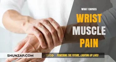 Understanding Wrist Muscle Pain: Common Causes and Effective Relief Strategies
