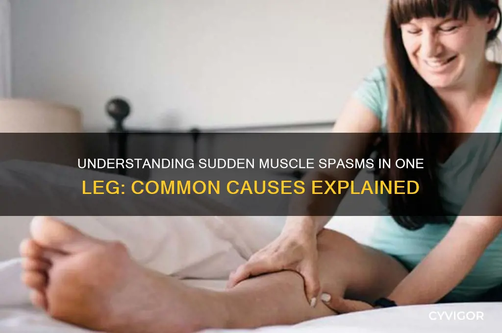 what causes you to have muscle spasms in one leg