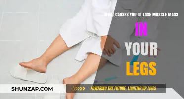 Why Your Legs Lose Muscle Mass: Causes and Prevention Tips