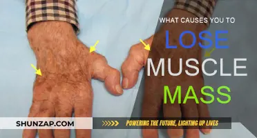 The Mystery Behind Muscle Loss: What's Really Going On?