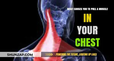Understanding Chest Muscle Strains: Common Causes and Prevention Tips