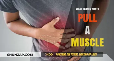 Understanding Muscle Strains: Common Causes of Pulled Muscles Explained