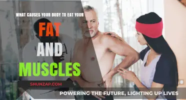 Understanding Muscle Wasting and Fat Loss: Causes and Mechanisms Explained