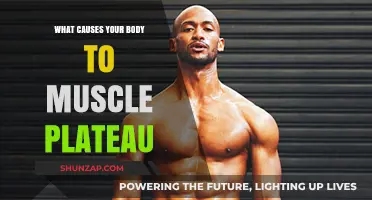 Understanding Muscle Plateaus: Causes and Strategies to Overcome Stagnation