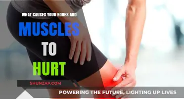 Understanding the Root Causes of Bone and Muscle Pain