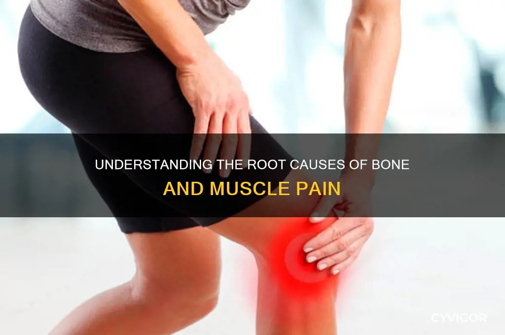 what causes your bones and muscles to hurt
