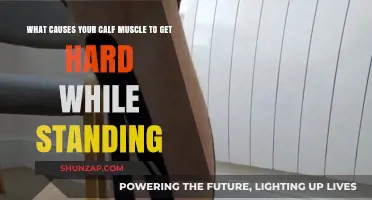 Why Your Calf Muscle Hardens When Standing: Causes Explained
