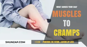 Understanding Calf Muscle Cramps: Causes and Prevention Strategies