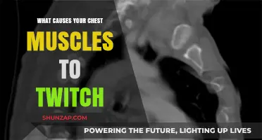 Why Do Chest Muscles Twitch? Uncovering Common Causes and Remedies