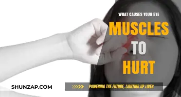 Why Do Your Eye Muscles Hurt? Common Causes Explained