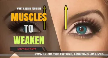 Understanding the Factors Behind Weakening Eye Muscles and Vision Decline