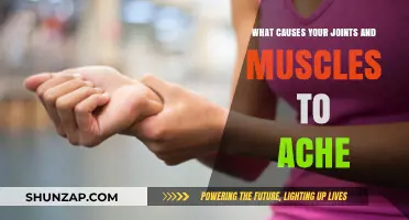 Unraveling Joint and Muscle Pain: Common Causes and Triggers Explained