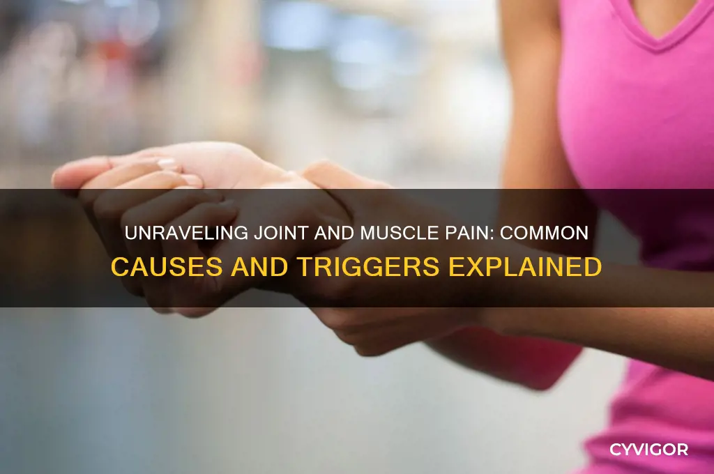 what causes your joints and muscles to ache