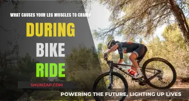 Why Do Leg Muscles Cramp During Bike Rides? Causes Explained
