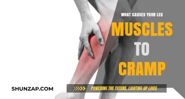 Unraveling Leg Muscle Cramps: Causes and Prevention Strategies Explained