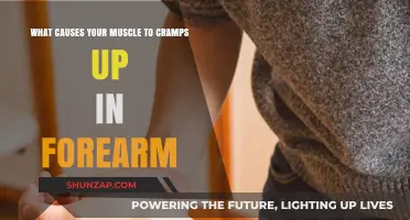 Forearm Muscle Cramps: Causes and Prevention Tips Explained