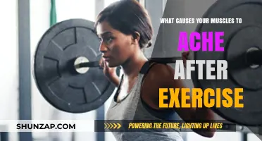 Why Muscles Ache Post-Workout: Unraveling Exercise-Induced Soreness Causes