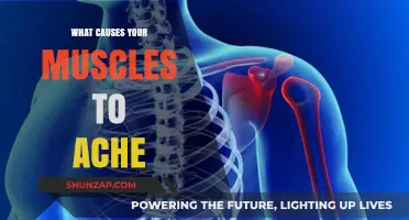 Unraveling Muscle Aches: Causes, Triggers, and Effective Relief Strategies