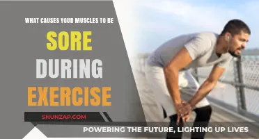 Why Muscles Ache: Unraveling Exercise-Induced Soreness Causes