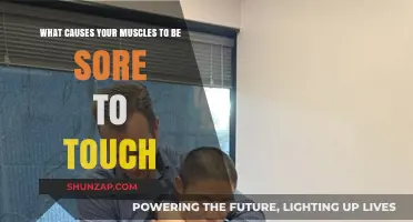 Why Your Muscles Ache: Uncovering Causes of Touch Sensitivity