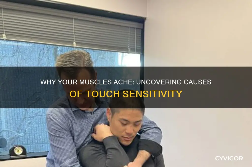 what causes your muscles to be sore to touch