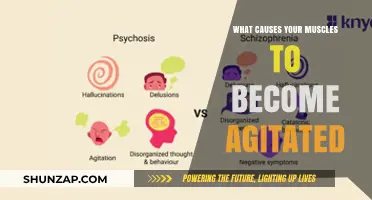 Unraveling Muscle Agitation: Causes and Triggers Behind Restlessness