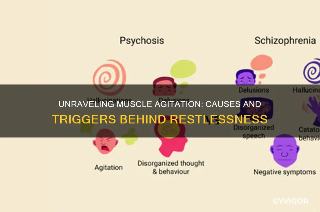 what causes your muscles to become agitated