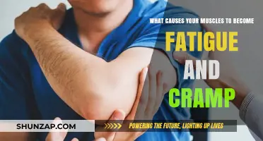 Understanding Muscle Fatigue and Cramps: Causes and Prevention Tips