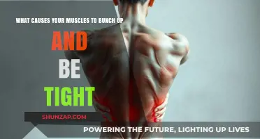 Why Muscles Bunch Up: Causes of Tightness and Tension Explained
