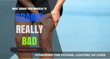 Unraveling the Pain: Common Causes of Severe Muscle Cramps Explained