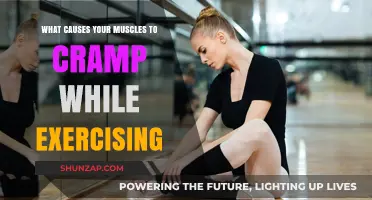 Why Muscles Cramp During Workouts: Causes and Prevention Tips