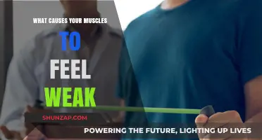 Understanding Muscle Weakness: Causes and Contributing Factors Explained