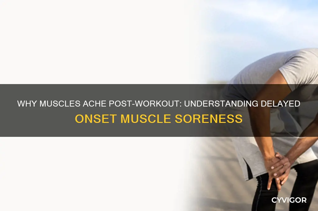 what causes your muscles to hurt after working out