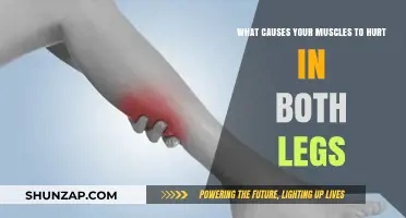 Why Do Both Legs Ache? Uncovering Common Causes of Muscle Pain
