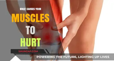 Why Muscles Ache: Uncovering Causes of Pain and Discomfort