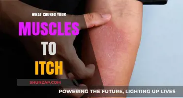 Unraveling the Mystery: What Causes Your Muscles to Itch?