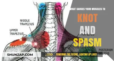 Unraveling Muscle Knots: Causes of Spasms and Tightening Explained