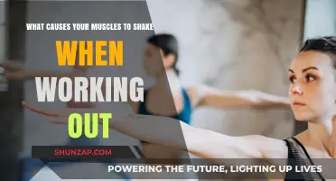 Why Muscles Tremble During Workouts: Unraveling the Shaky Truth