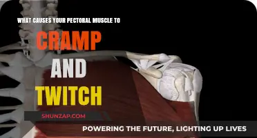 Pectoral Muscle Cramps and Twitching: Causes and Remedies Explained