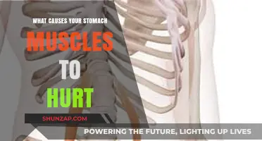 Why Your Stomach Muscles Hurt: Common Causes and Remedies