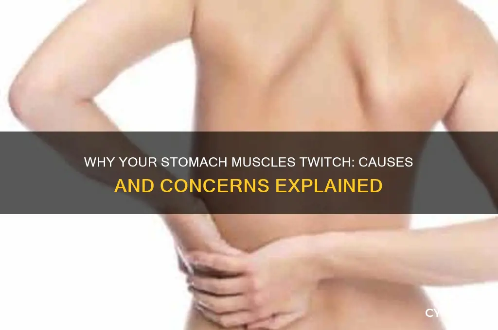 what causes your stomach muscles to jump