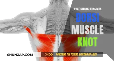 Understanding Latissimus Dorsi Muscle Knots: Causes and Triggers