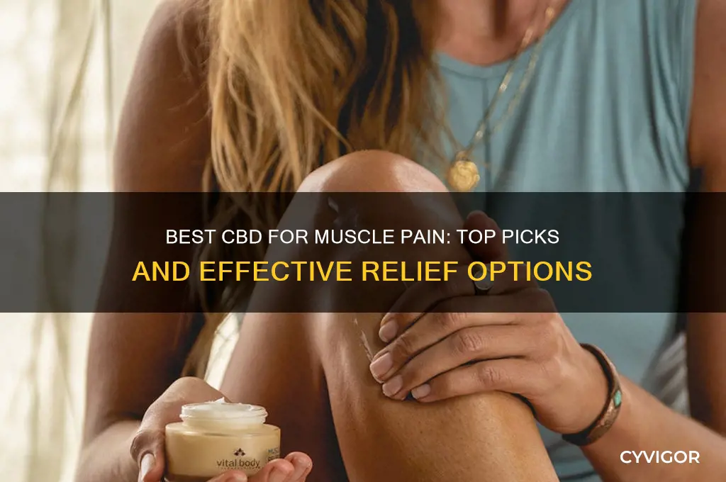 what cbd is best for muscle pain