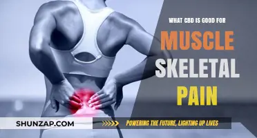 Exploring CBD's Potential Benefits for Muscle and Skeletal Pain Relief