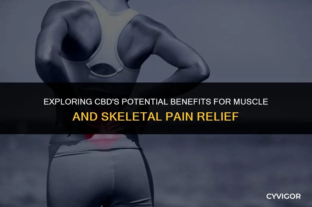 what cbd is good for muscle skeletal pain