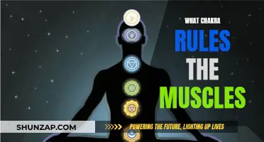 Chakra and Muscles: Understanding the Vital Energy Connection