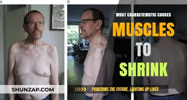 Muscle Shrinkage: Understanding the Key Factors Behind Atrophy