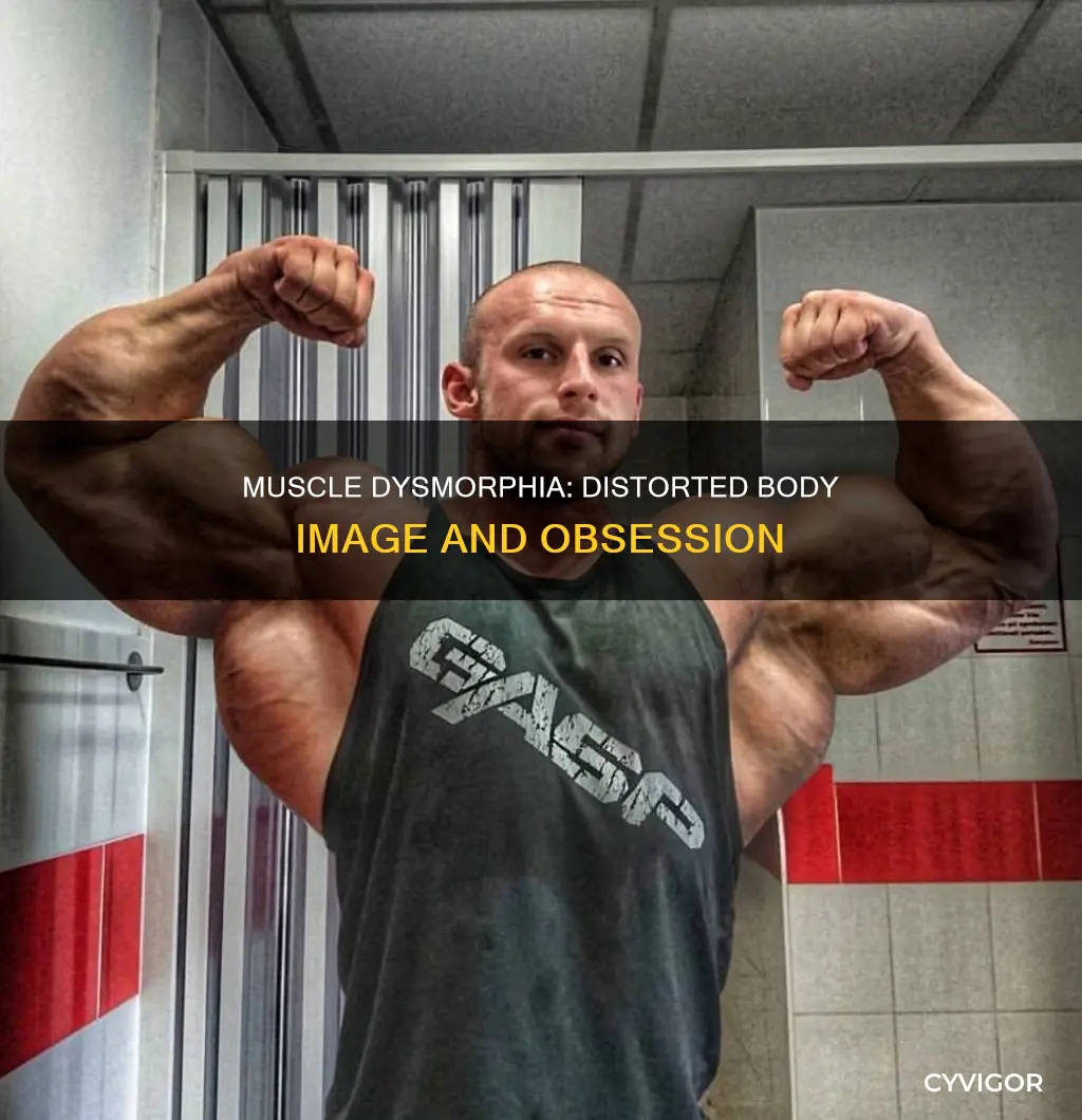 what characterizes muscle dysmorphia